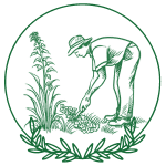 Gardener weeding flower bed icon