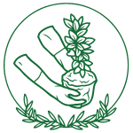 Planting illustration icon